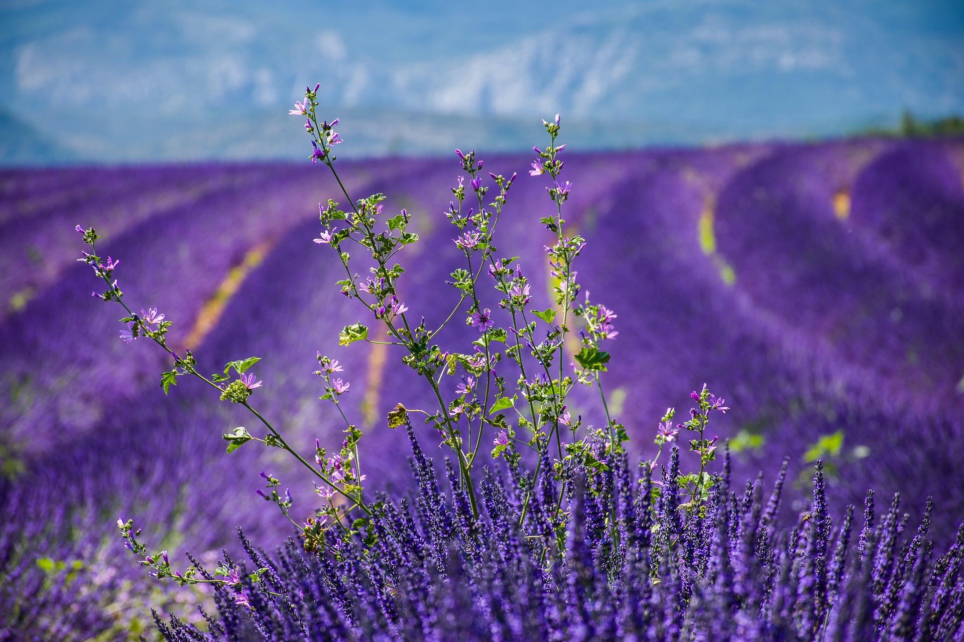 Gemeinde im Südwesten Frankreichs (Périgord) sucht Arzt/Ärztin auf Honorarbasis