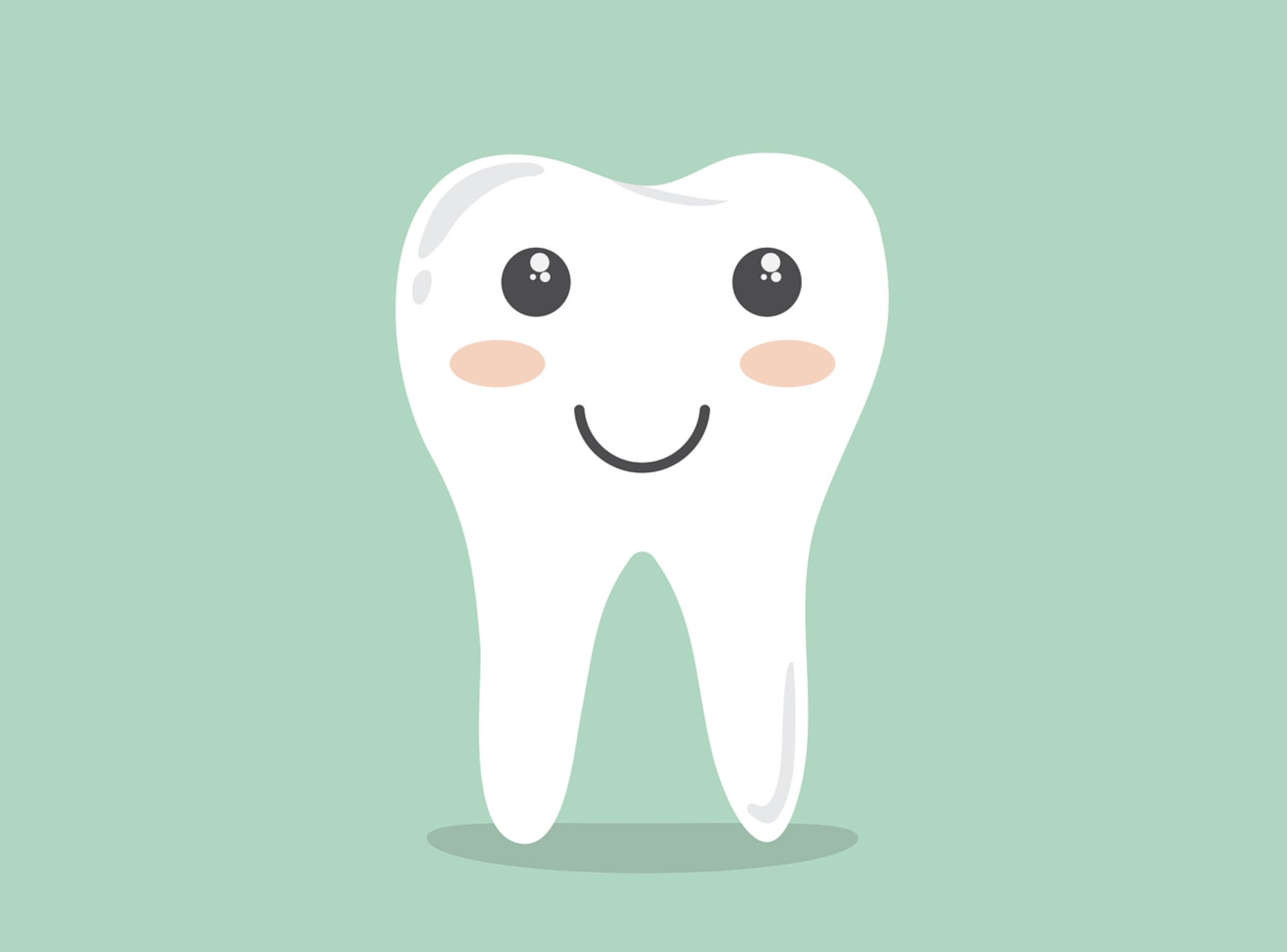 Kinderzahnarzt / Kieferorthopäde / auch MSC gesucht (m/w/d)