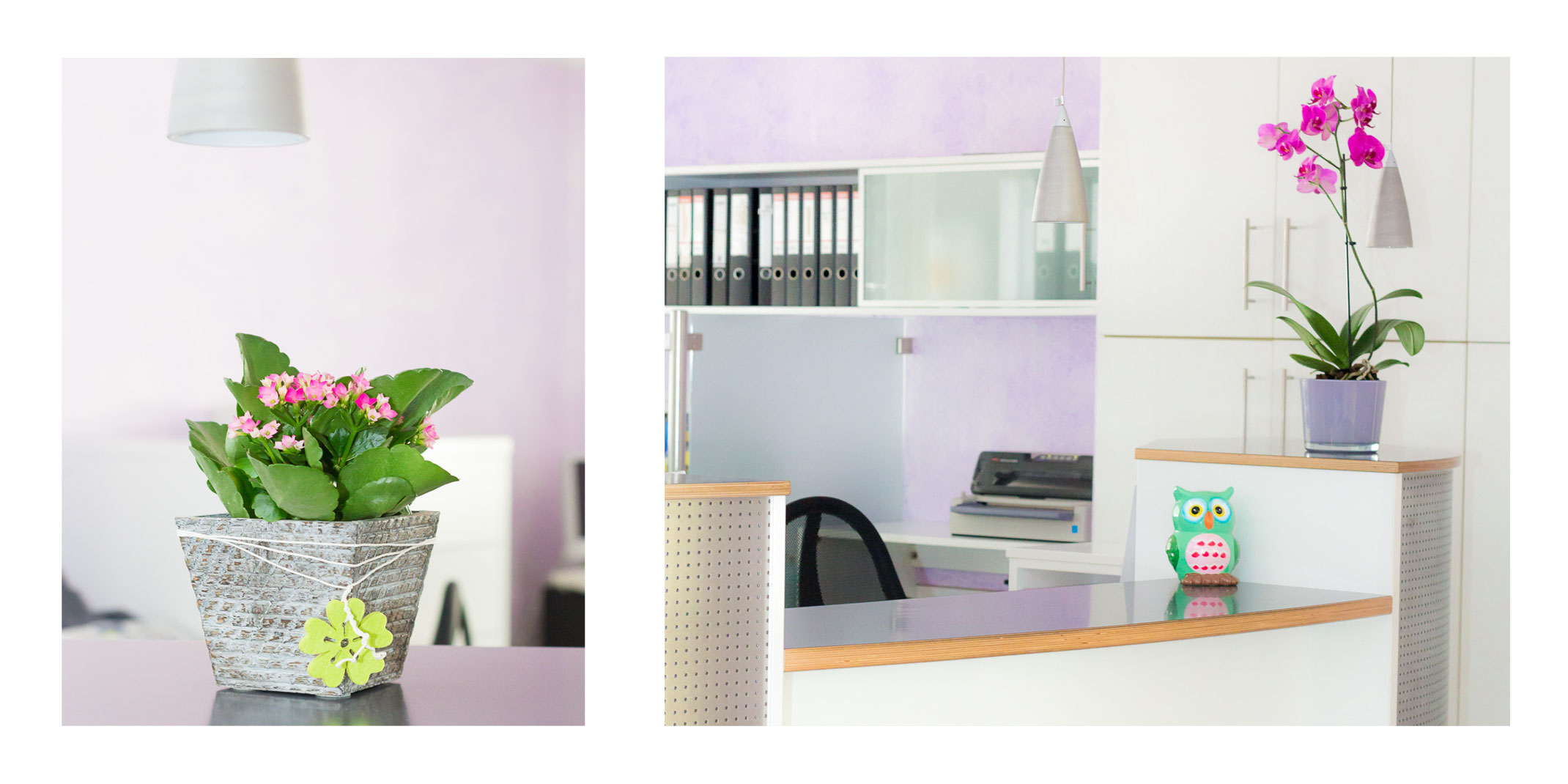 Kollege/in (w/m/d) zur Verstärkung gesucht