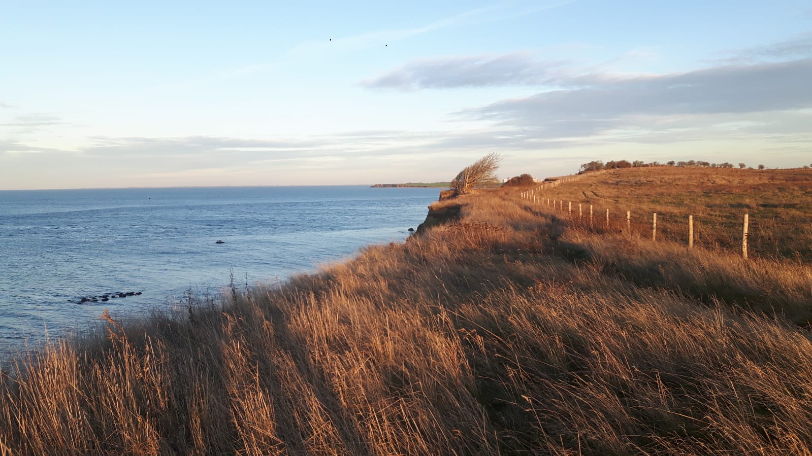 Mitstreiter für Teampraxis Allgemeinmedizin in Heiligenhafen gesucht