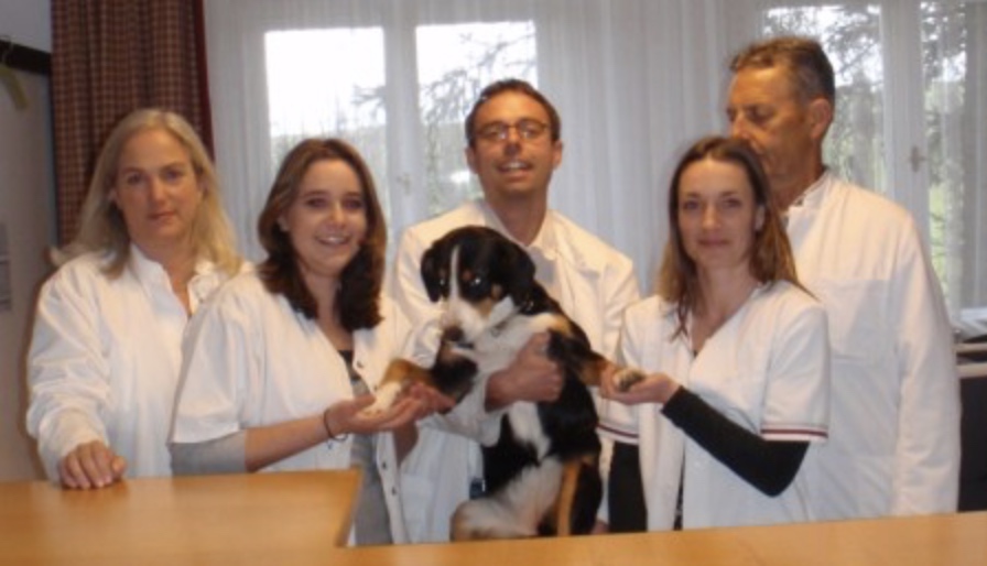 Weiterbildungsstelle zum Allgemeinarzt in breit aufgestellter Landarztpraxis