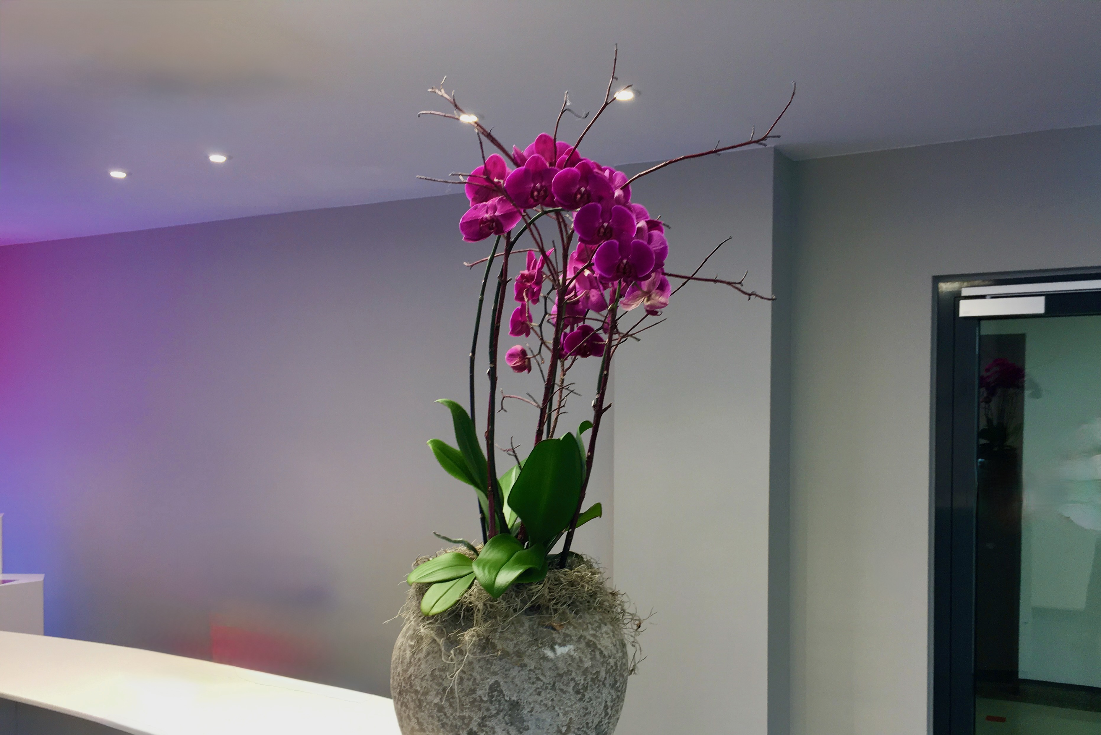 Psychotherapeutin (Kassenzulassung) sucht Praxisimmobilie zur Miete in Gomaringen (Raum Tübingen)