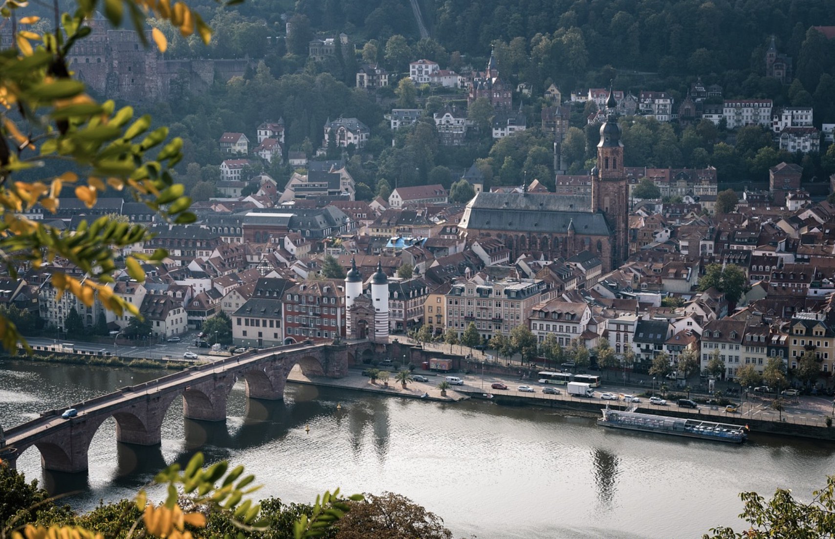 WG-Zimmer in bester Lage in Heidelberg