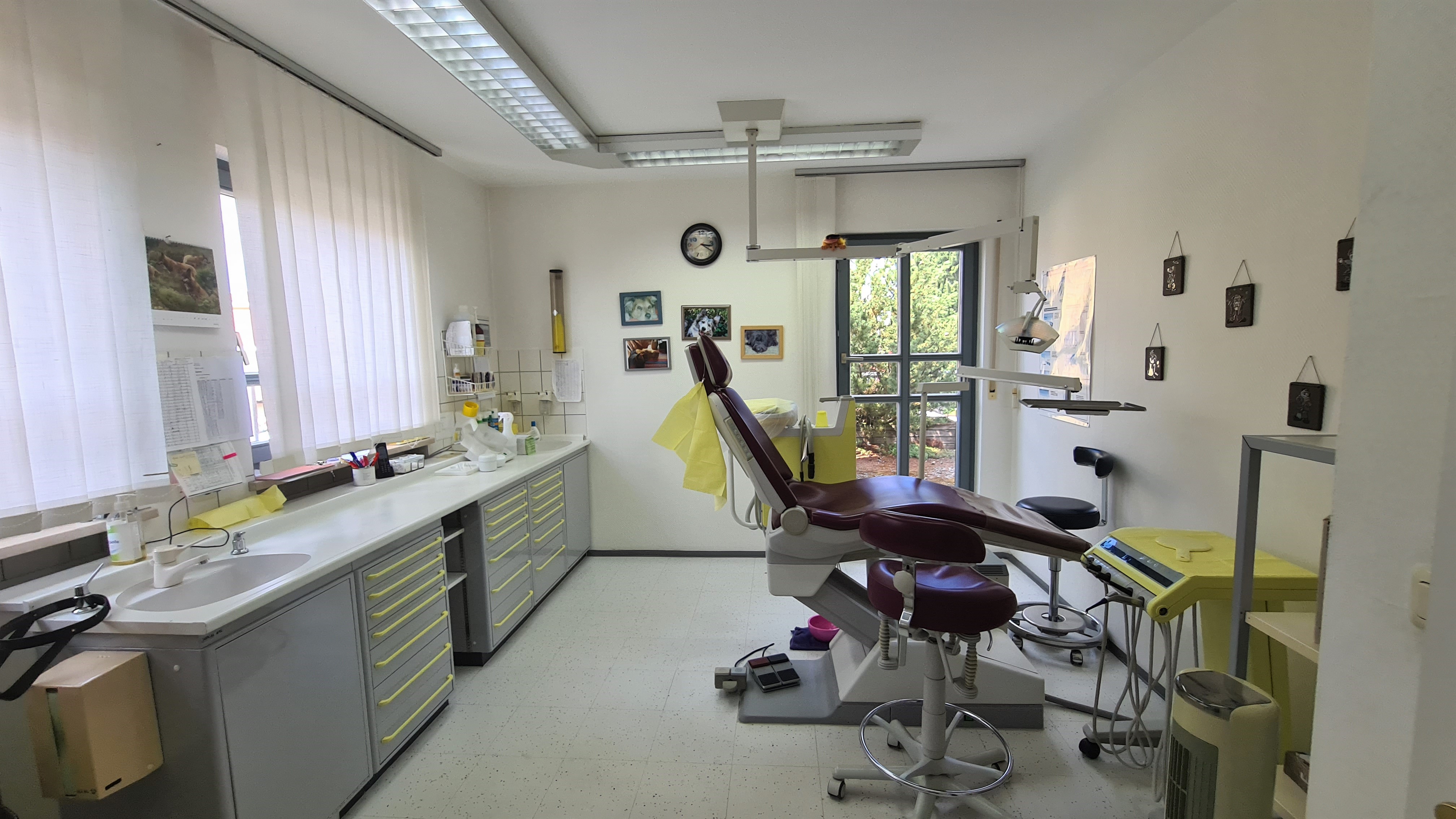 Zahnarztpraxis mit außergewöhnlichem Potenzial Raum Nürnberg