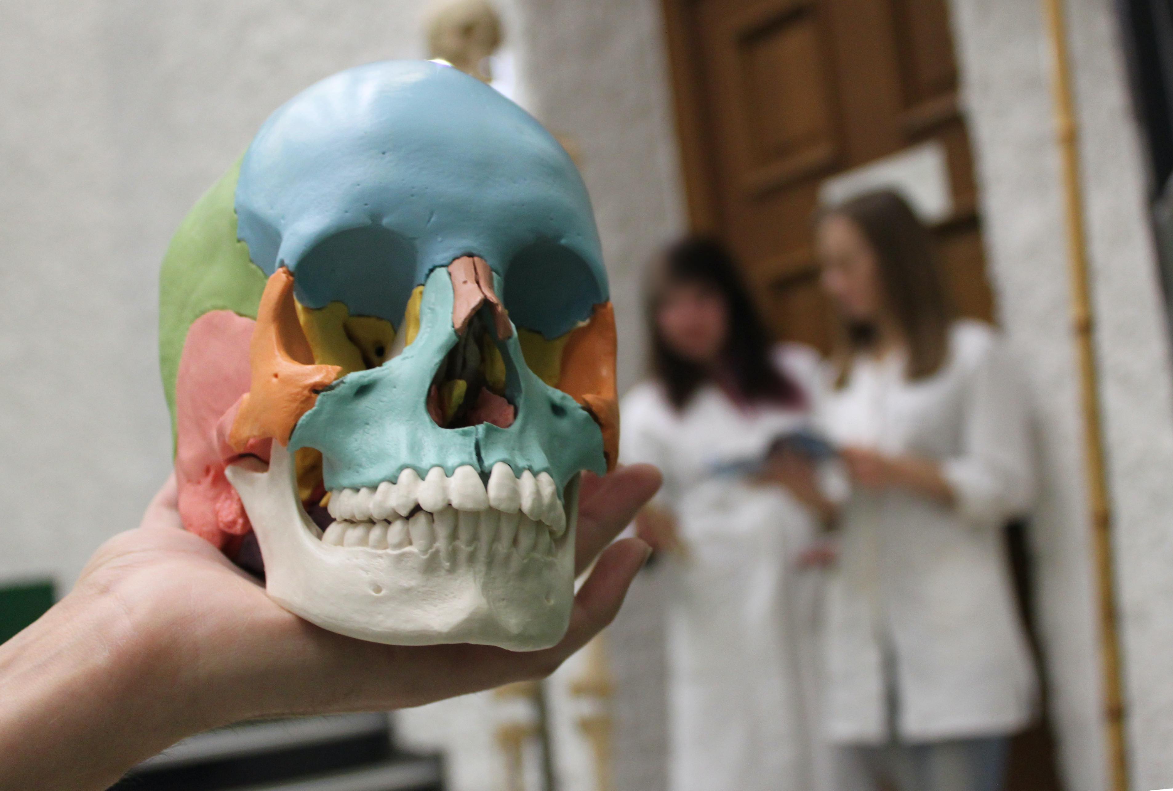 Zimmer für Medizinstudierende in Göttingen ab SS 23