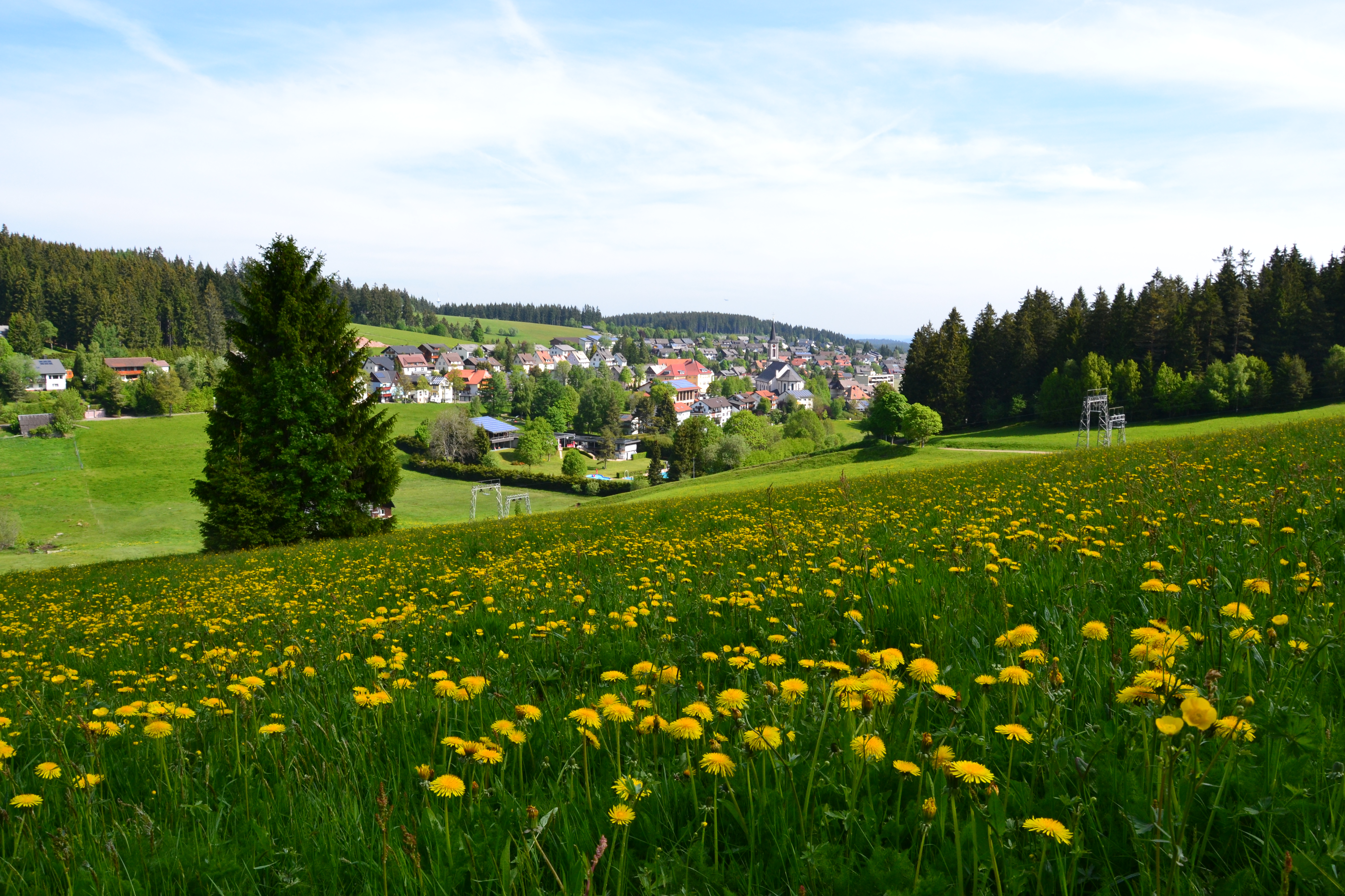 Als Hausarzt arbeiten, wo andere Urlaub machen!