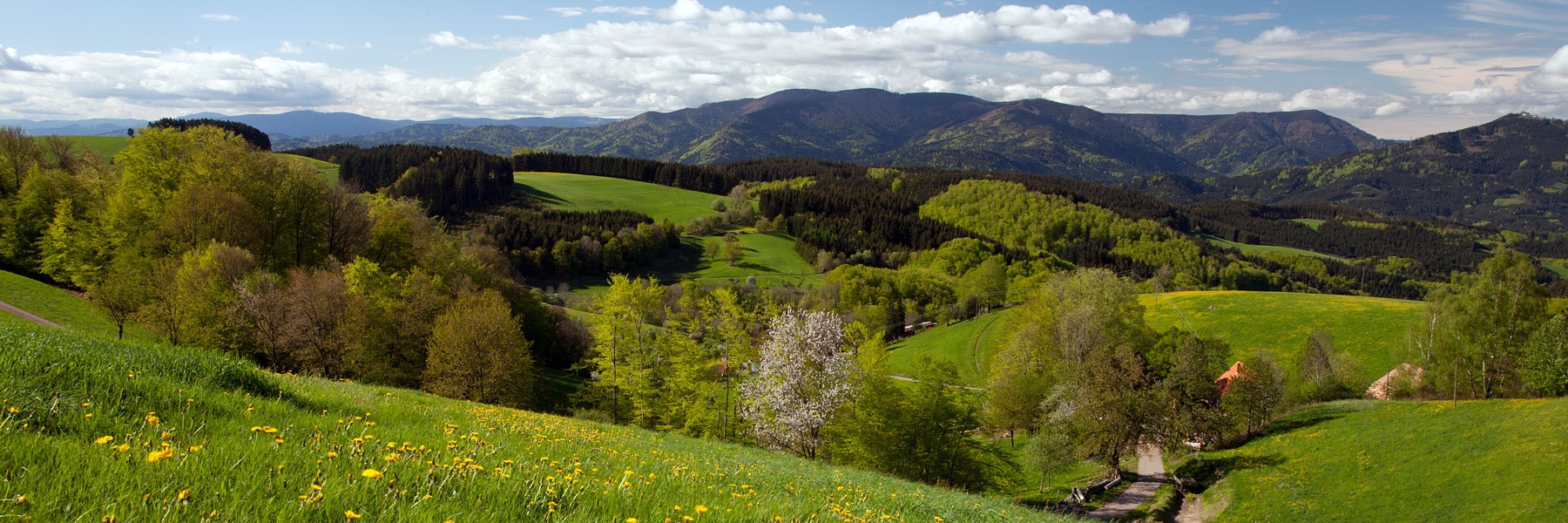 Als Landarzt arbeiten, wo andere Urlaub machen