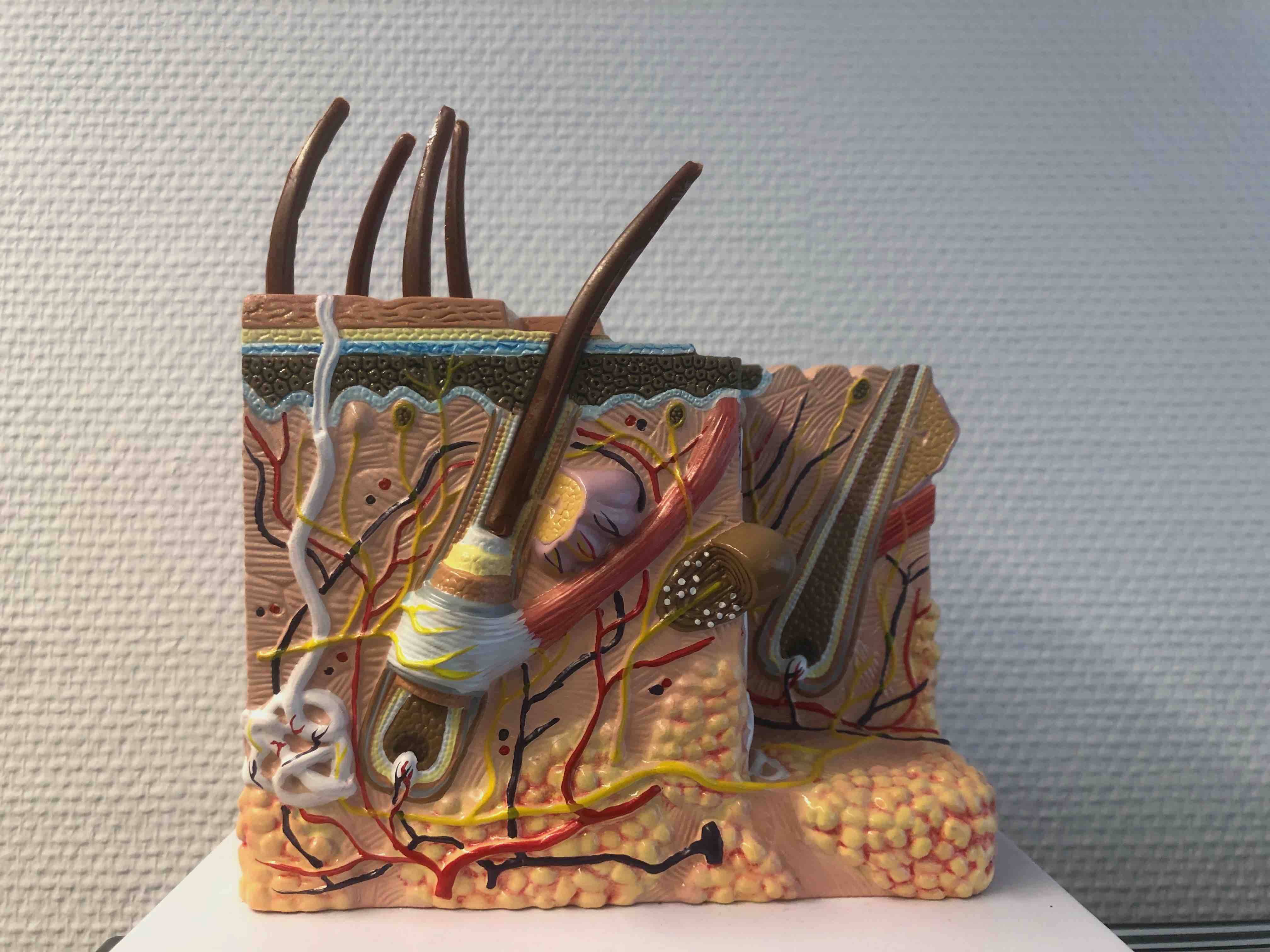 Biete Kassensitz Haut- und Geschlechtskrankheiten Neheim, umsatzstarke Derma- Praxis