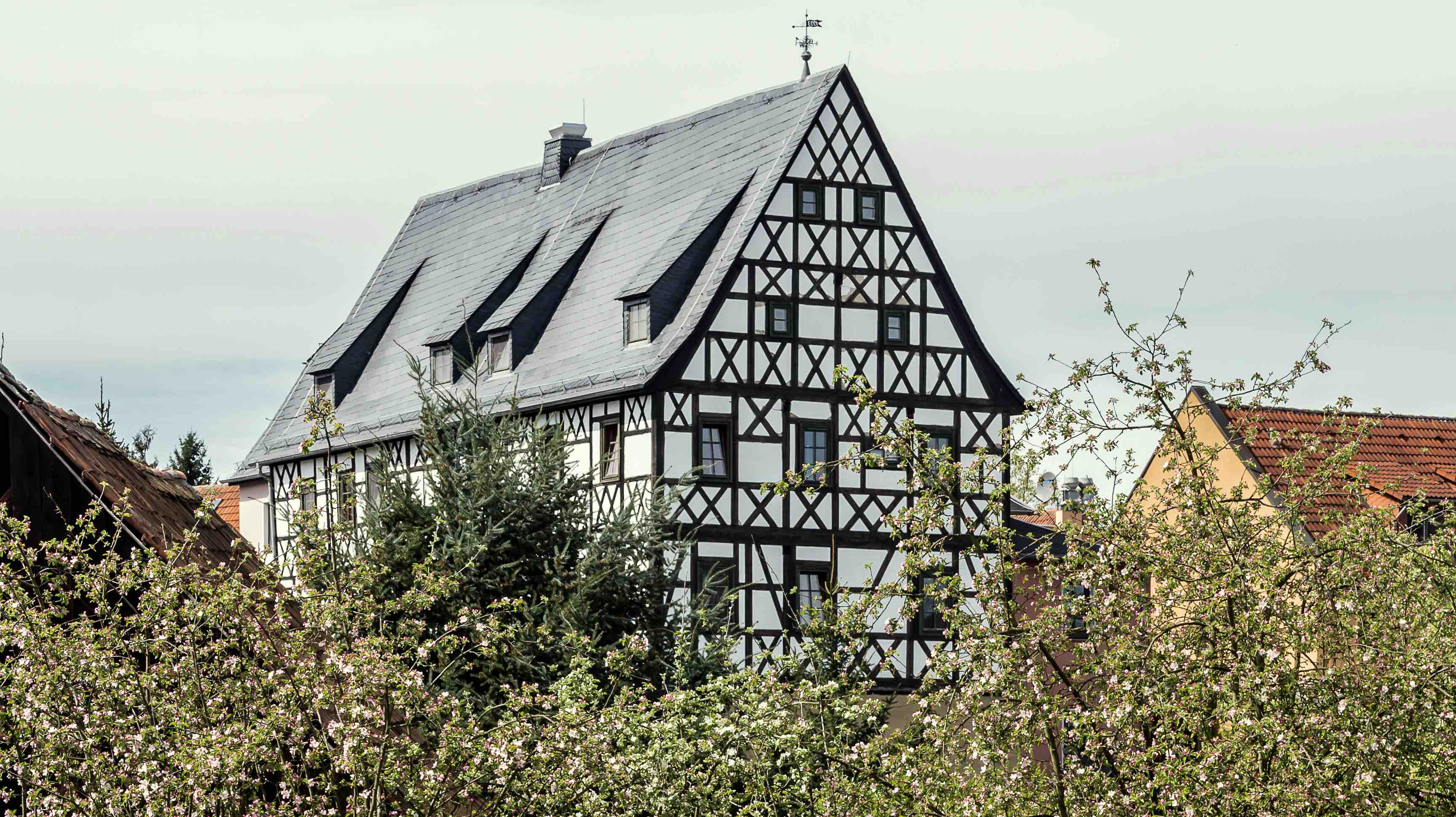 Einzelpraxis psychologische Psychotherapie in Kolkwitz