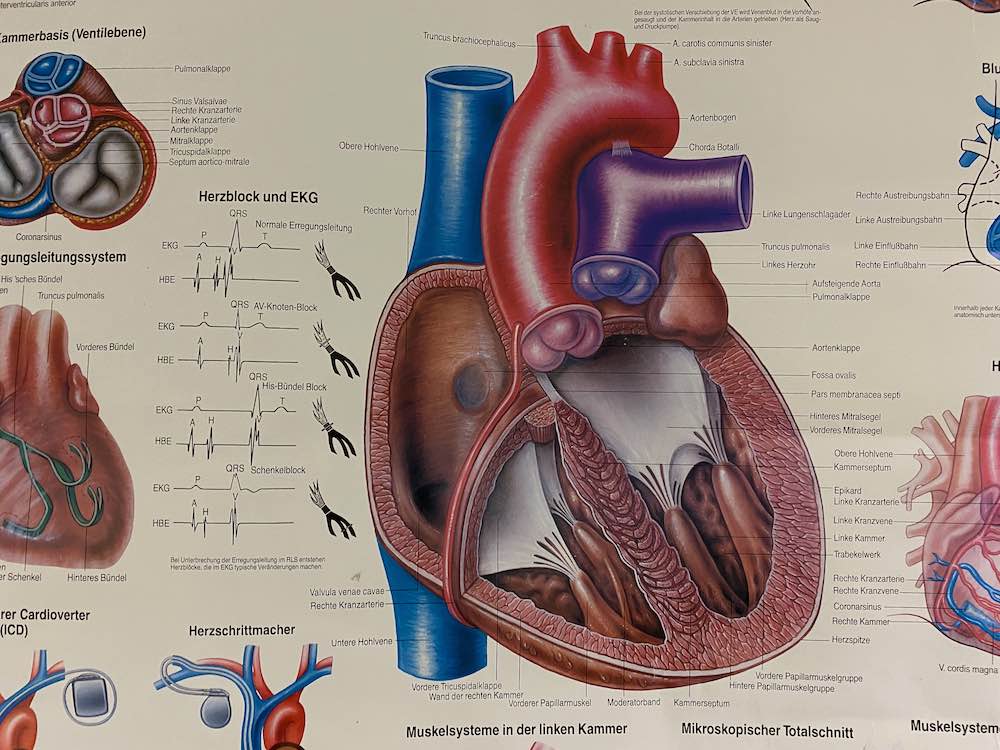 Kardiologisch - internistische Privatpraxis sucht Praxisnachfolger