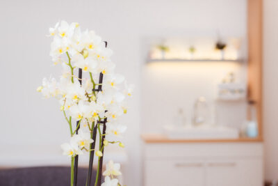 Praxis für Naturheilkunde und integrativer Medizin sucht Nachfolge