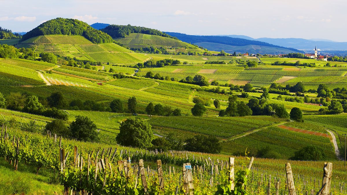 Praxisabgabe Hausarztpraxis in Heitersheim