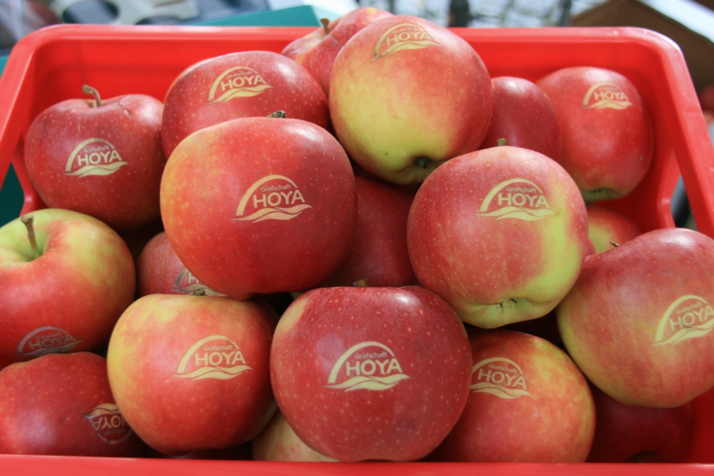 Praxisübergabe in lebenswerter Grafschaft - Ihr Wohn-, Lebens- und Praxisstandort mit Zukunft - Zuschuss in Höhe von 40.000 Euro möglich!