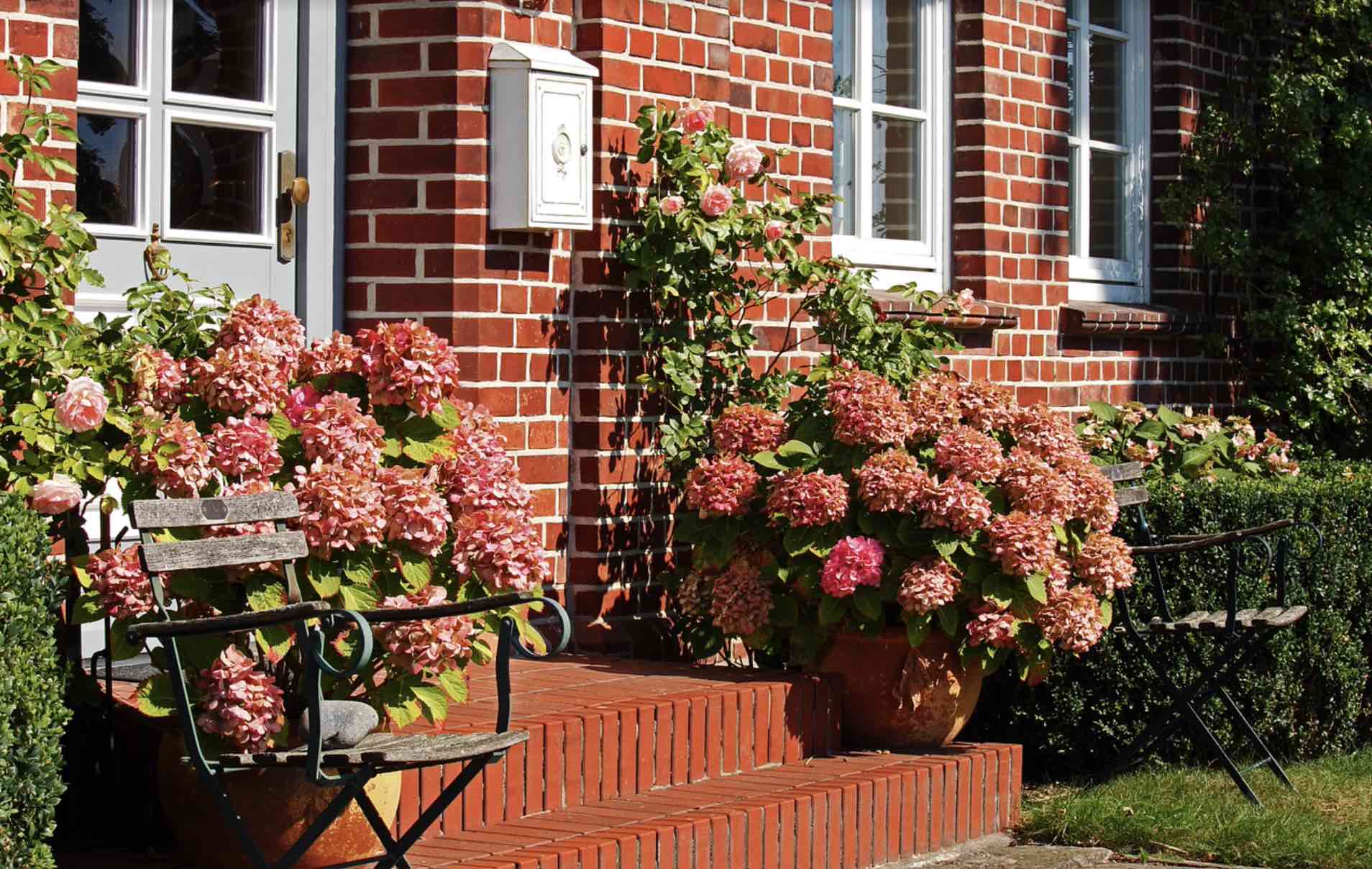 Wenn Land, dann Wendland! Hausärztliche BAG sucht Kollege/in.