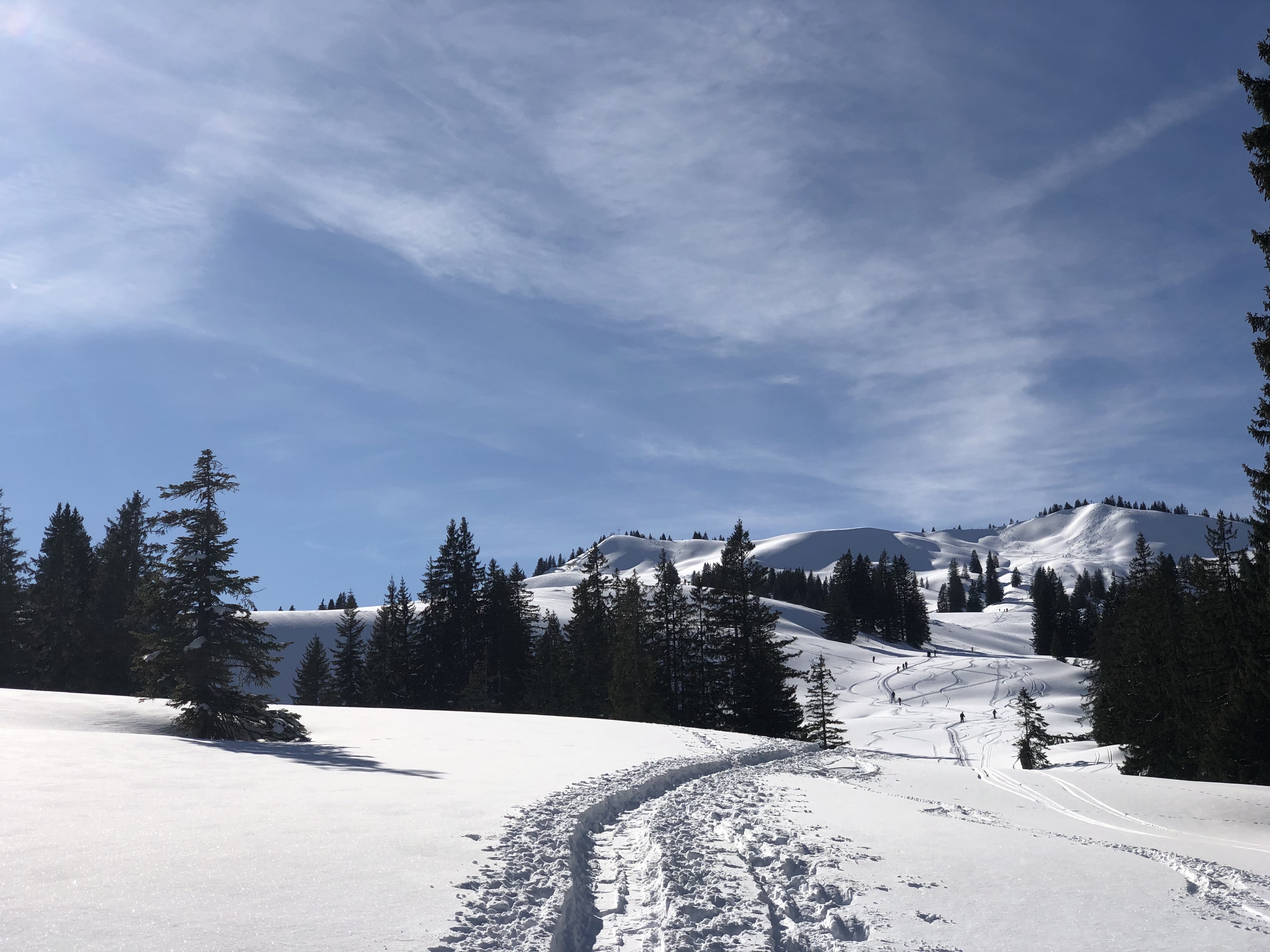 Allgemeinsarzt sucht Option zum Einstieg in Gemeinschaftspraxis/MVZ im Oberallgäu