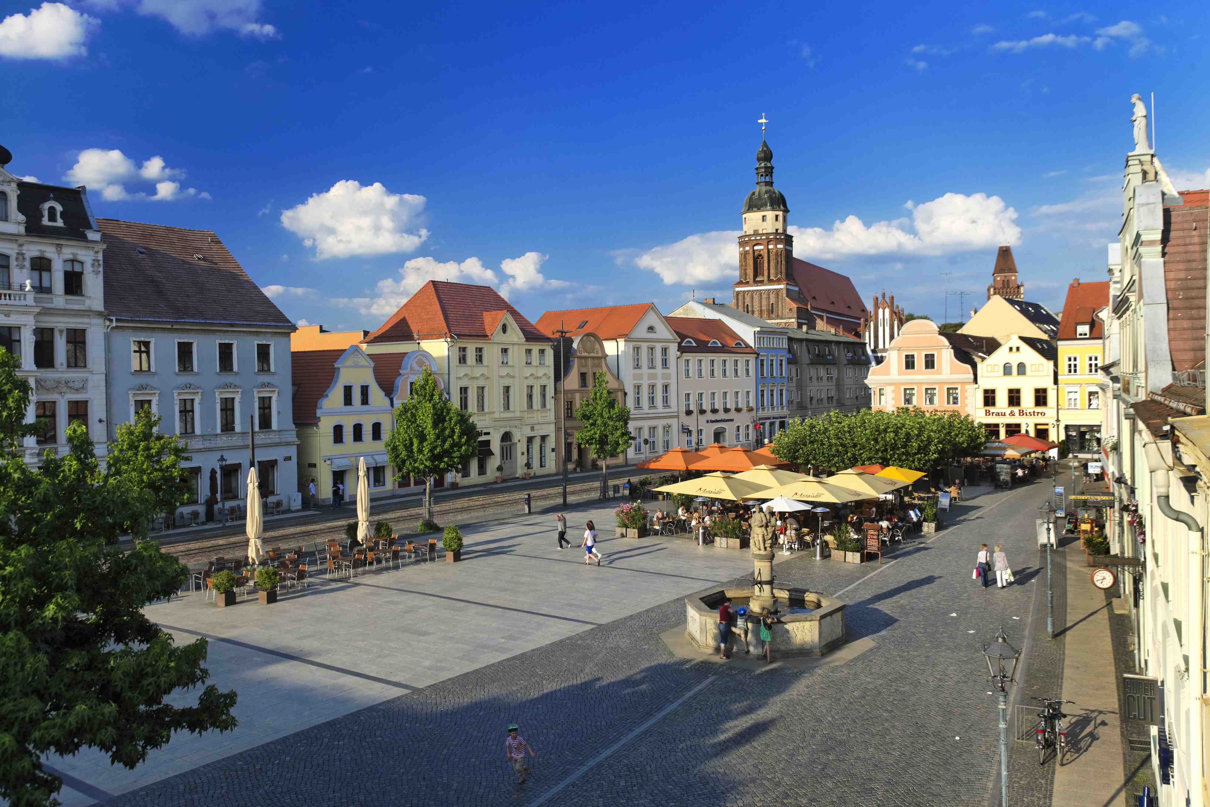 Arzt sucht Praxis: Praxisübernahme Neurologie in Cottbus