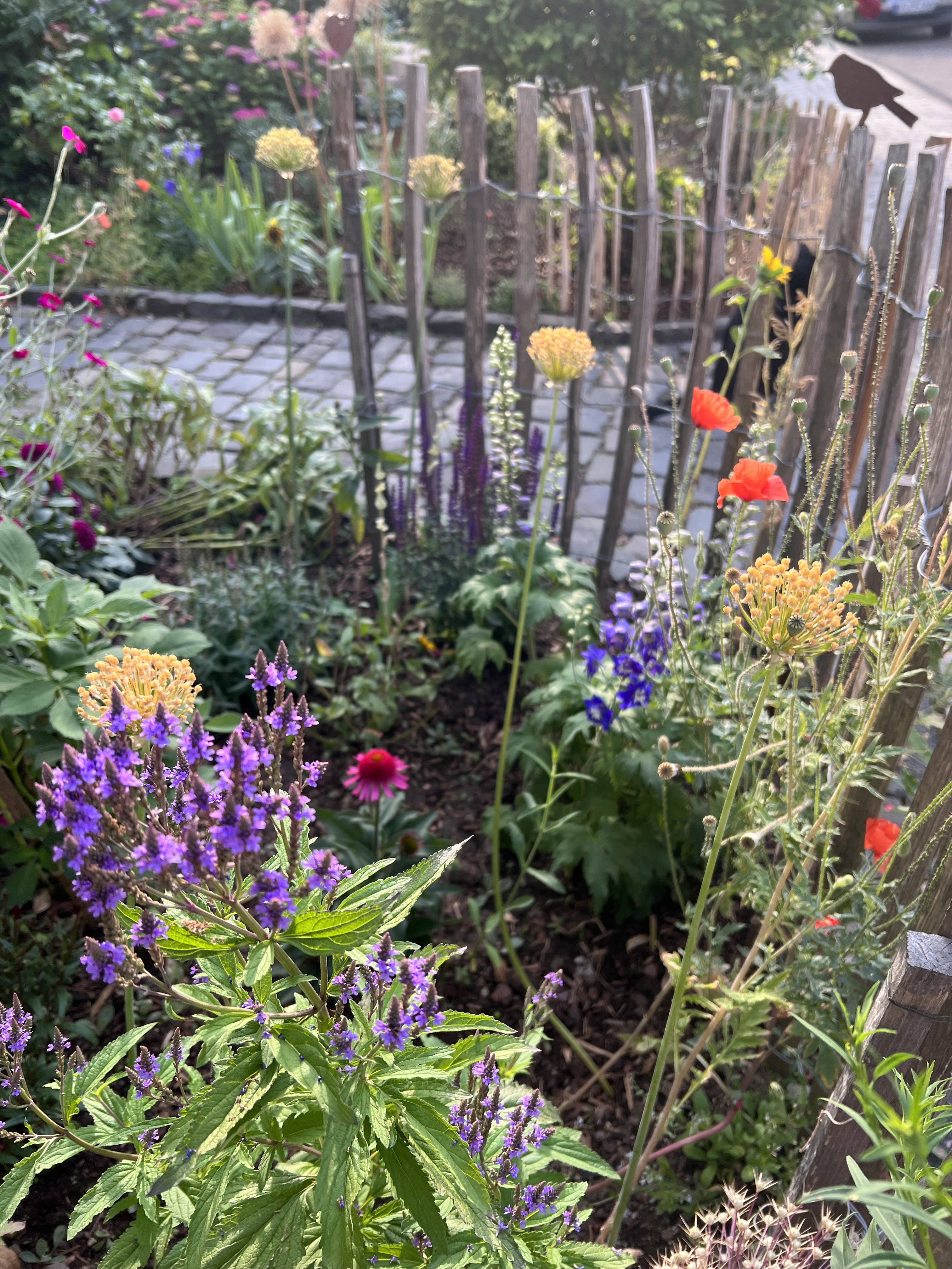 Arztpraxis in Südwestdeutschland gesucht