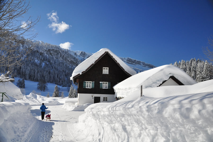 Bei der Praxisbörse Praxis suchen wir eine Praxis für Innere Medizin im Allgäu