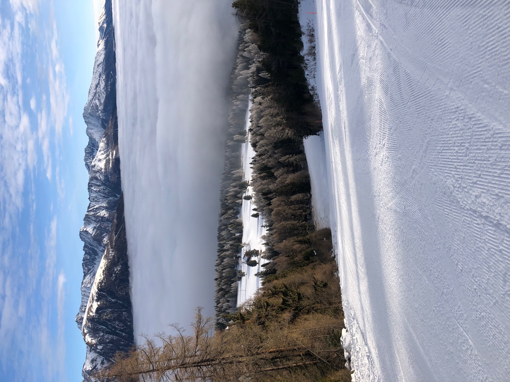 Ehepaar (Orthopäden mit Schwerpunkt TCM) sucht Privatpraxis (z. B. Orthopädie, Naturheilverfahren, Allgemeinmedizin) im südlichen Bayern