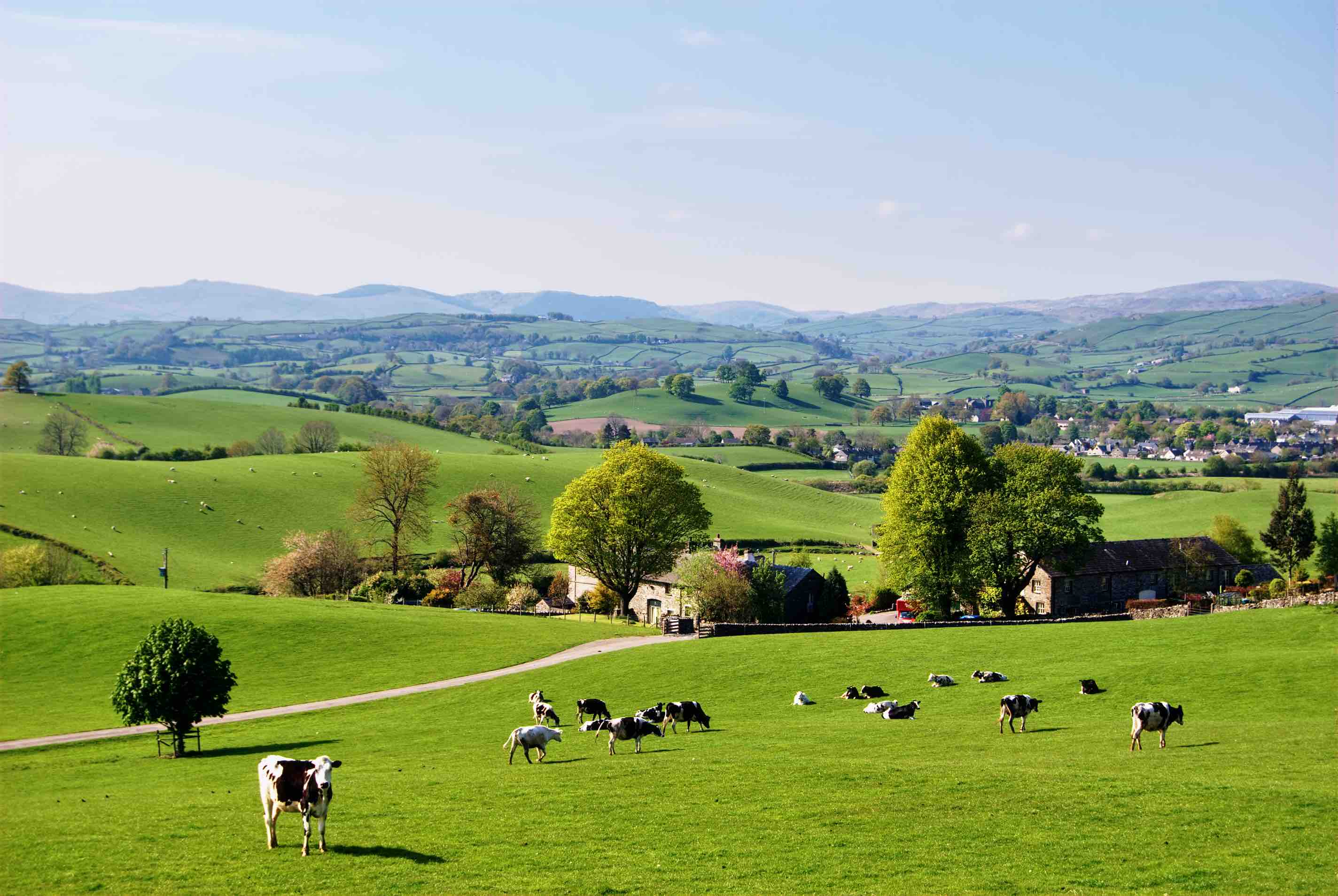 Erfahrener Hausarzt sucht Arztpraxis im Grünen