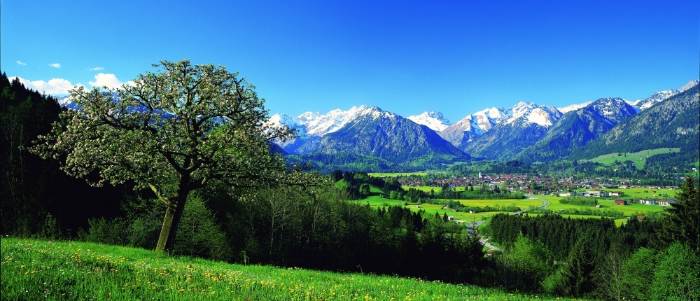 Hausarztsitz, Pädiatriesitz oder HNO-Sitz für BAG oder Praxisübernahme gesucht