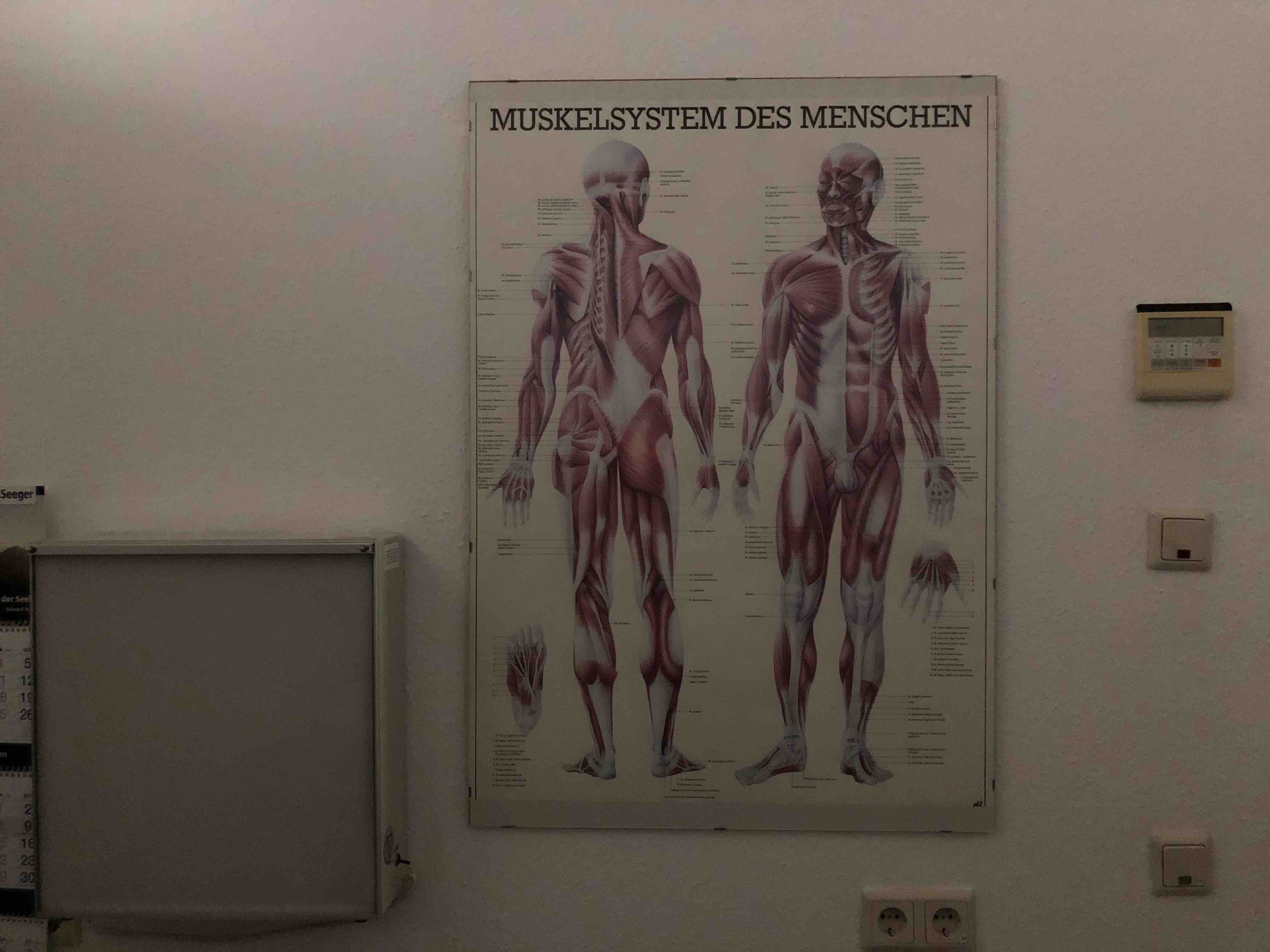 Orthopädische Praxis zur Praxisübernahme in Sinzig und Umgebung gesucht