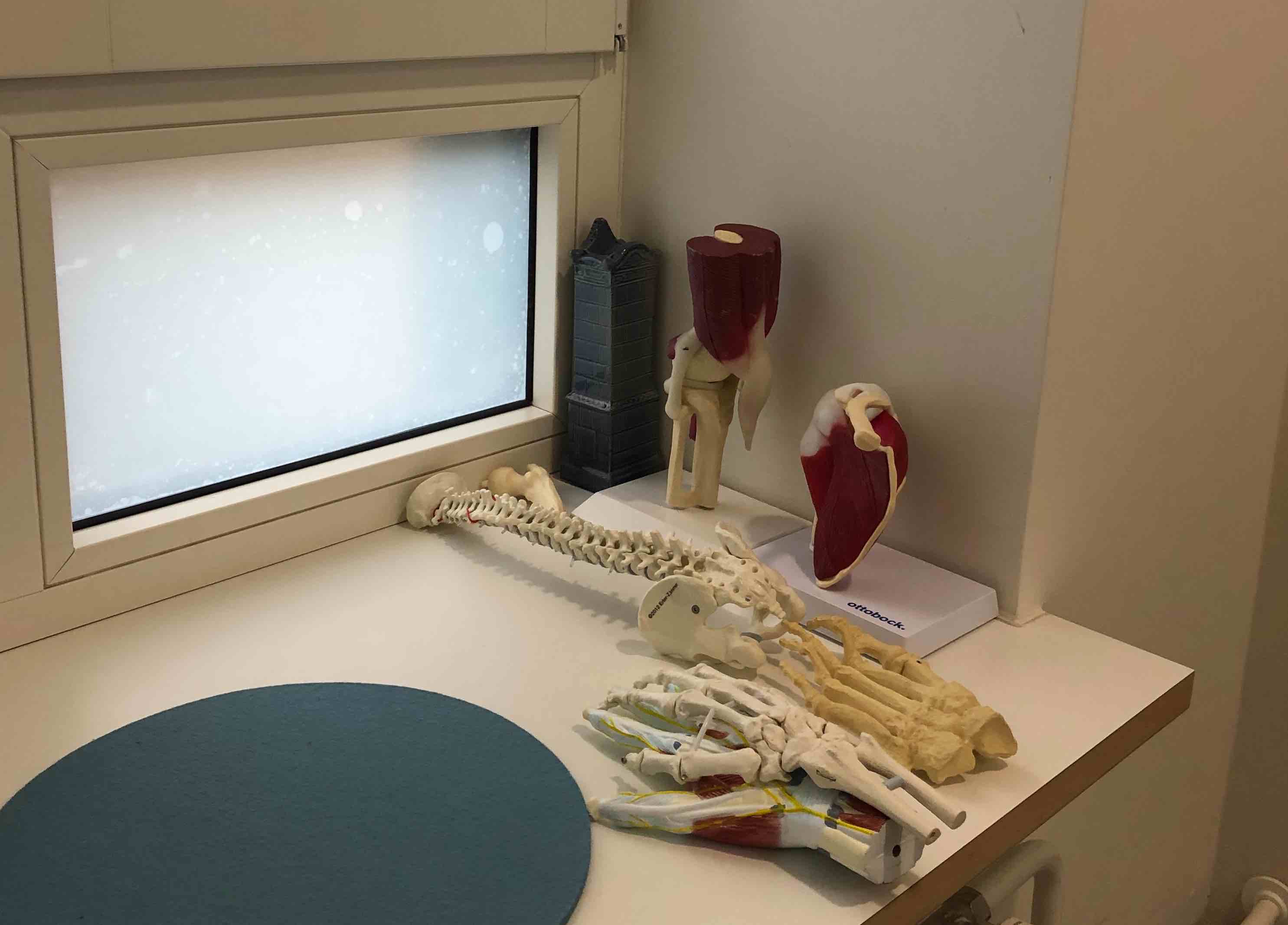 Osteopath und Physiotherapeut sucht Praxisimmobilie oder Praxisgemeinschaft im Raum Heidelberg - Mannheim