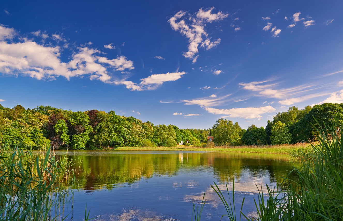 Praxisbörse: Psychologischer Psychotherapeutin sucht Praxis in Brandenburg
