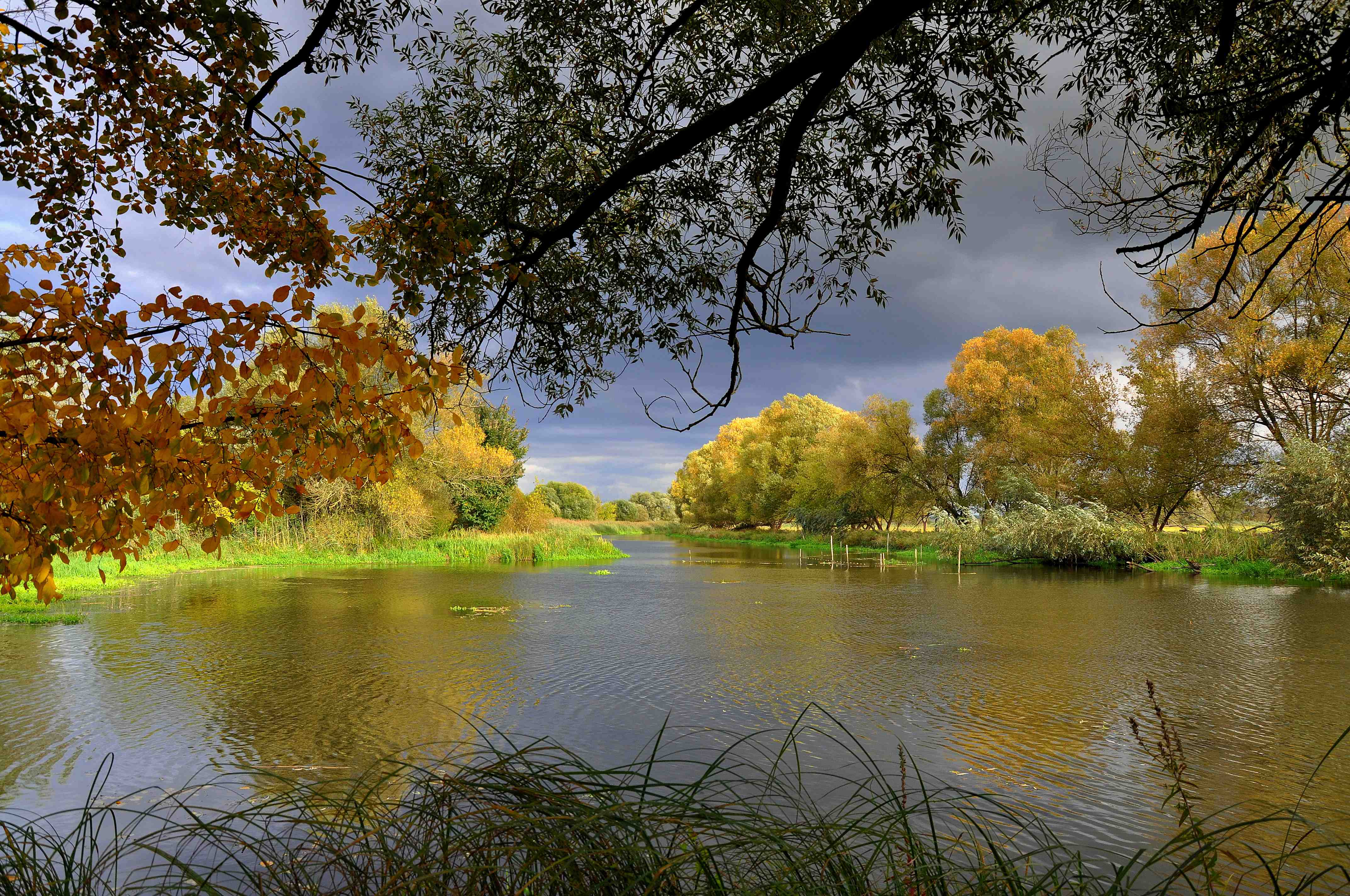 Übernahme Praxis für Hals-Nasen-Ohrenheilkunde im Havelland gesucht