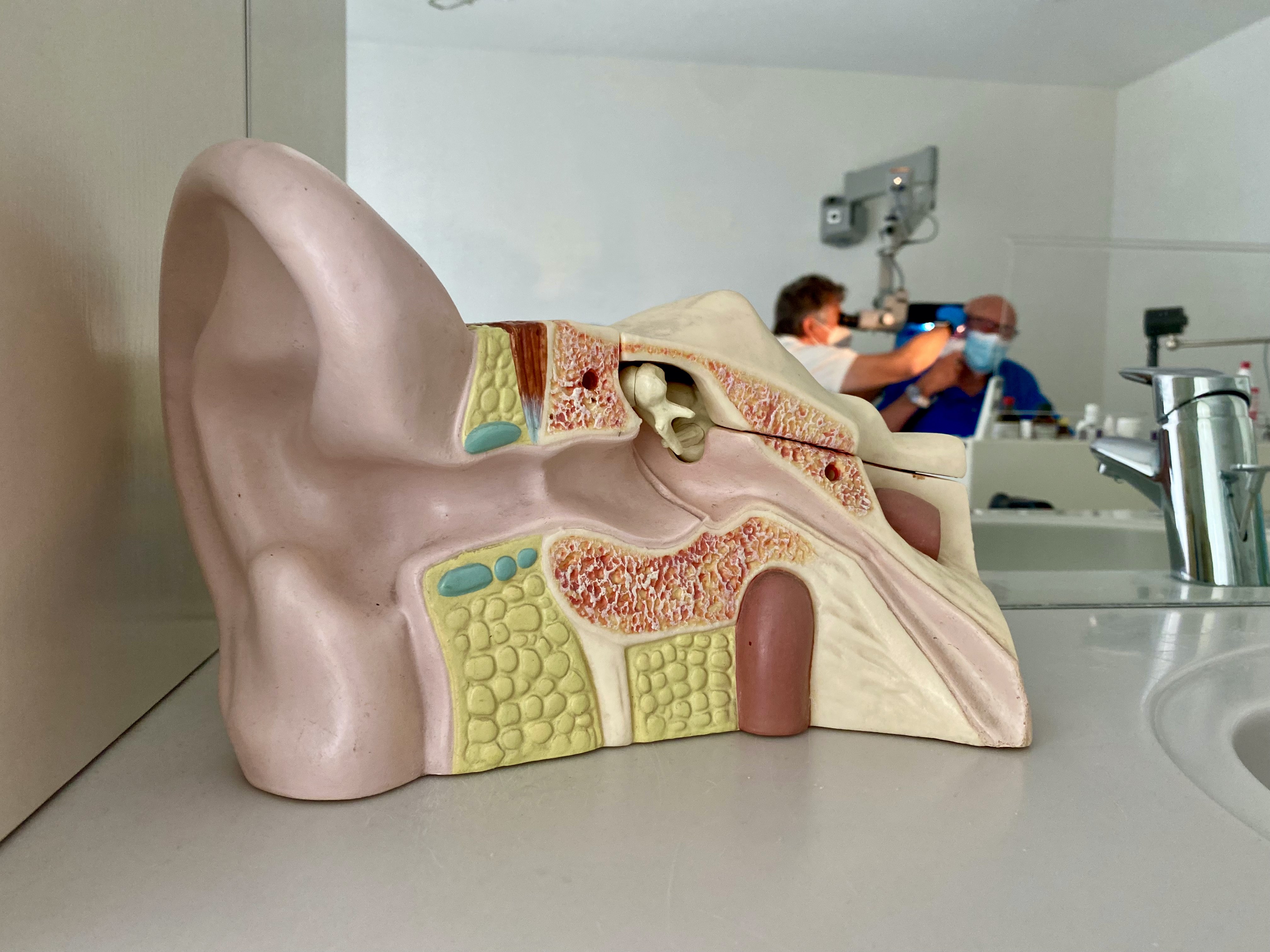 Assistenzarzt oder Facharzt  (m/w/d) HNO Klinikum Nürnberg