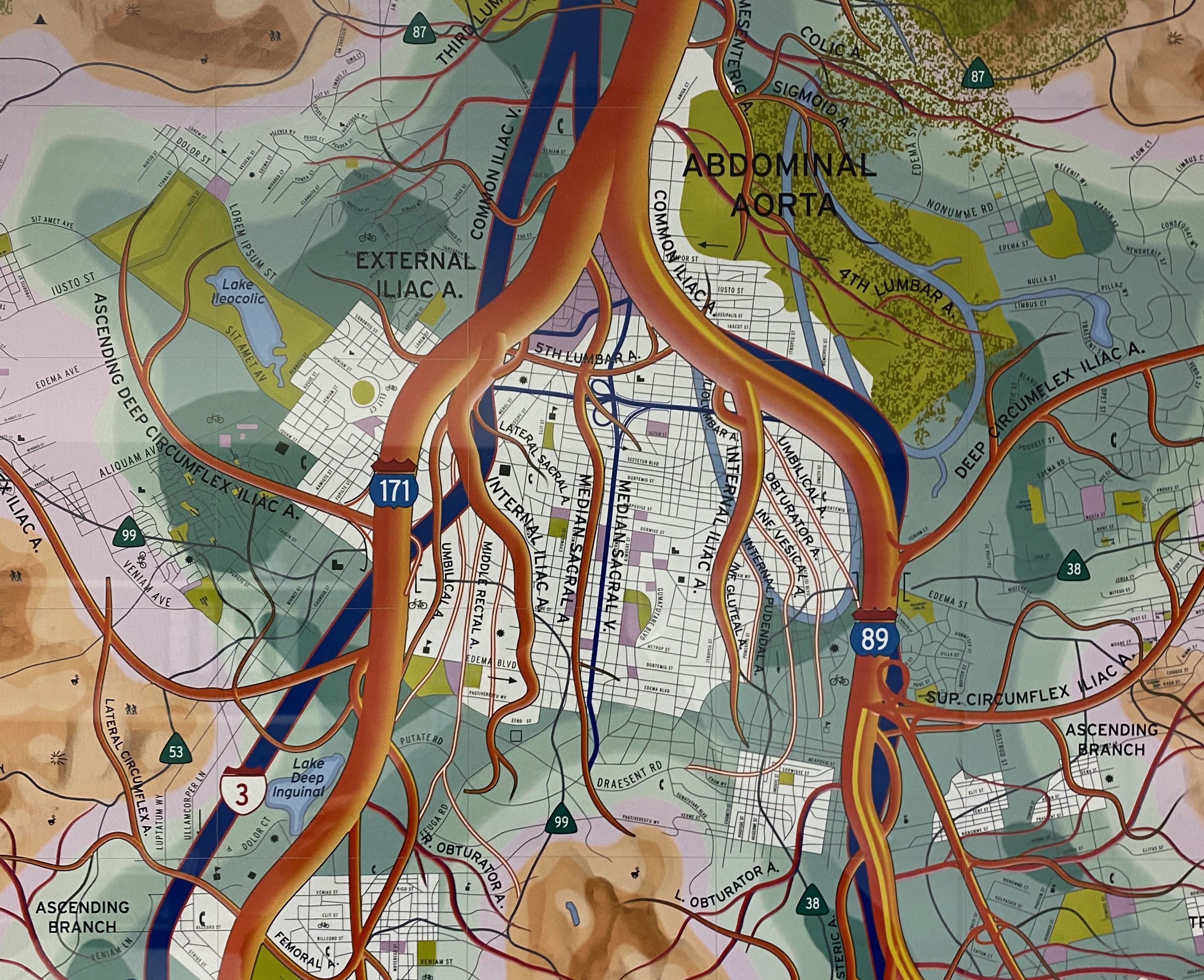 Oberarzt (m/w/d) für Gefäßchirurgie in Magdeburg