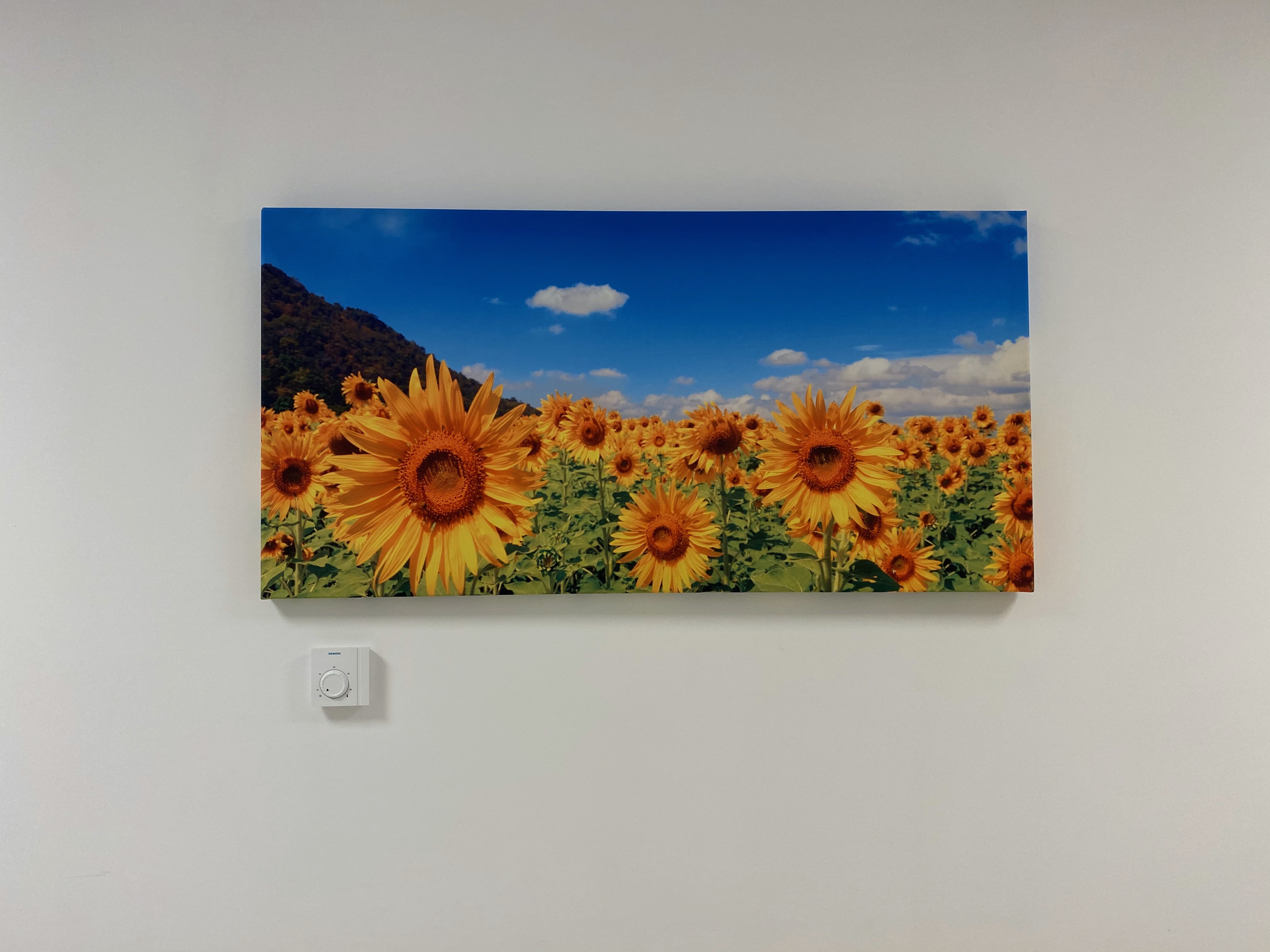 Biete Praxisvertretung in NRW Raum Köln