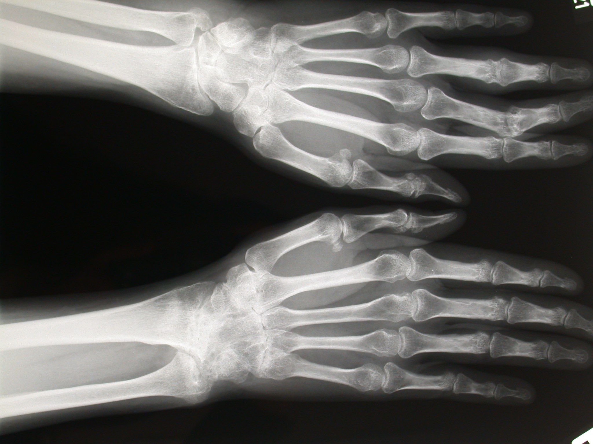 Biete Praxisvertretung Orthopädie im Rhein-Neckar Raum