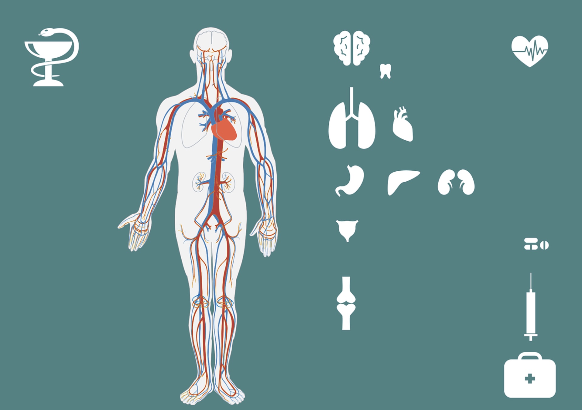 Fachärztin für Allgemeinmedizin bietet Praxisvertretung deutschlandweit