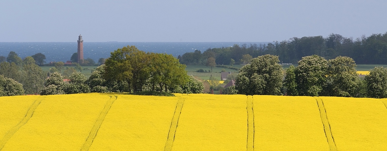 Fachärztin für Allgemeinmedizin und Homöopathie sucht Stelle im Norden