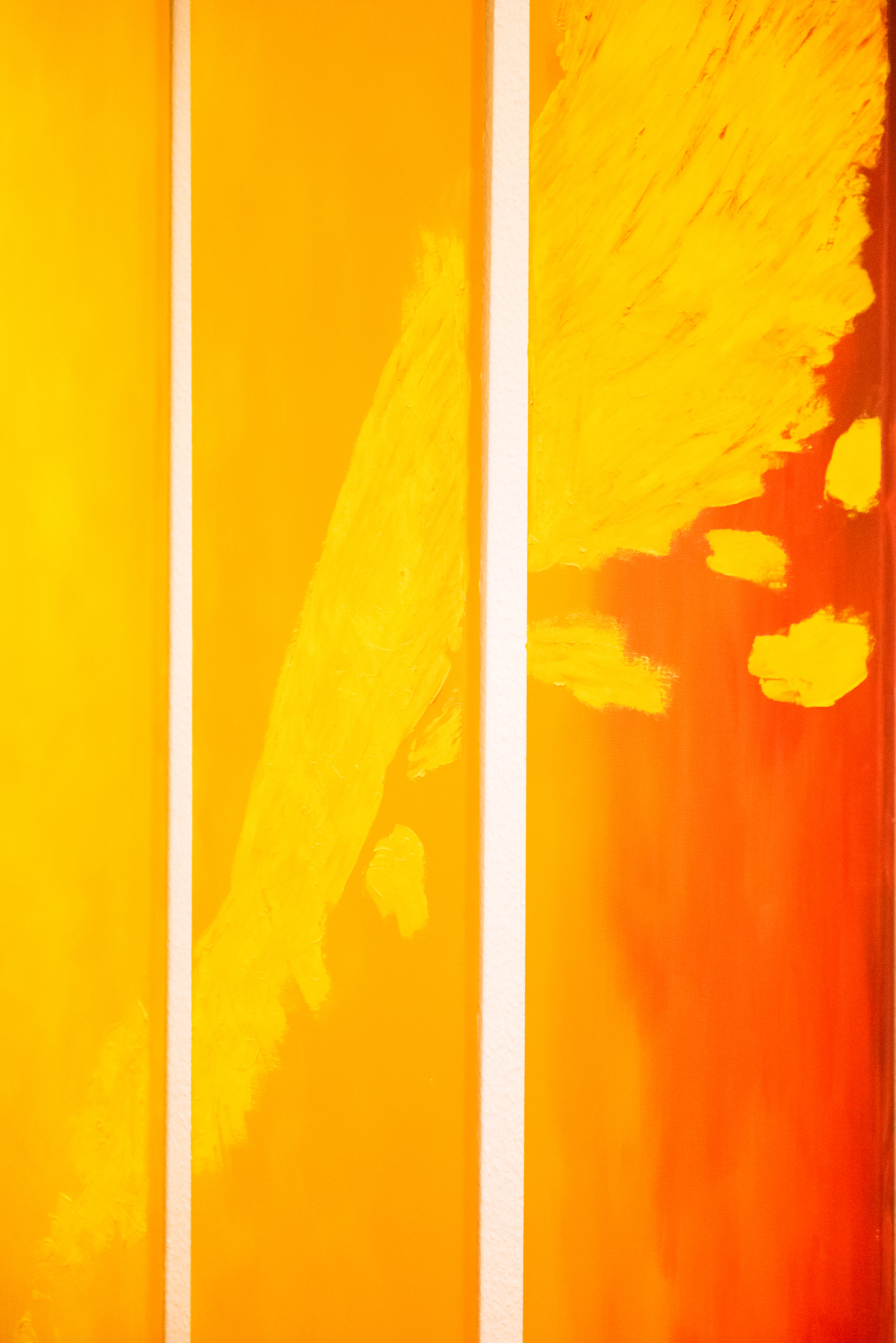 Facharzt für Innere Medizin,  Hämatologie und internistische Onkologie bietet Praxisvertretung in Würzburg, Eutin, Hamburg