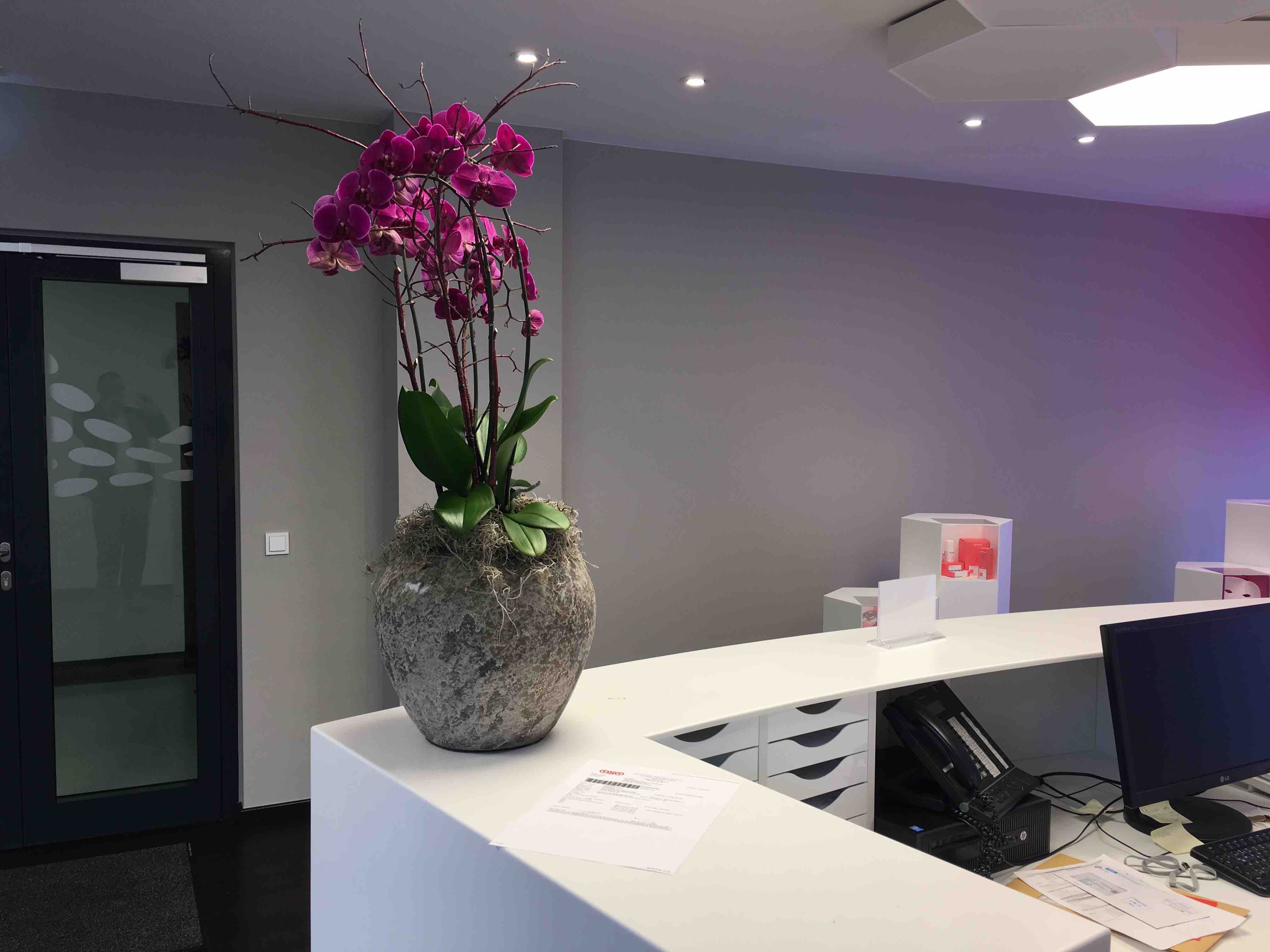 Facharzt für Innere Medizin sucht Vollzeitstelle in BAG oder MVZ