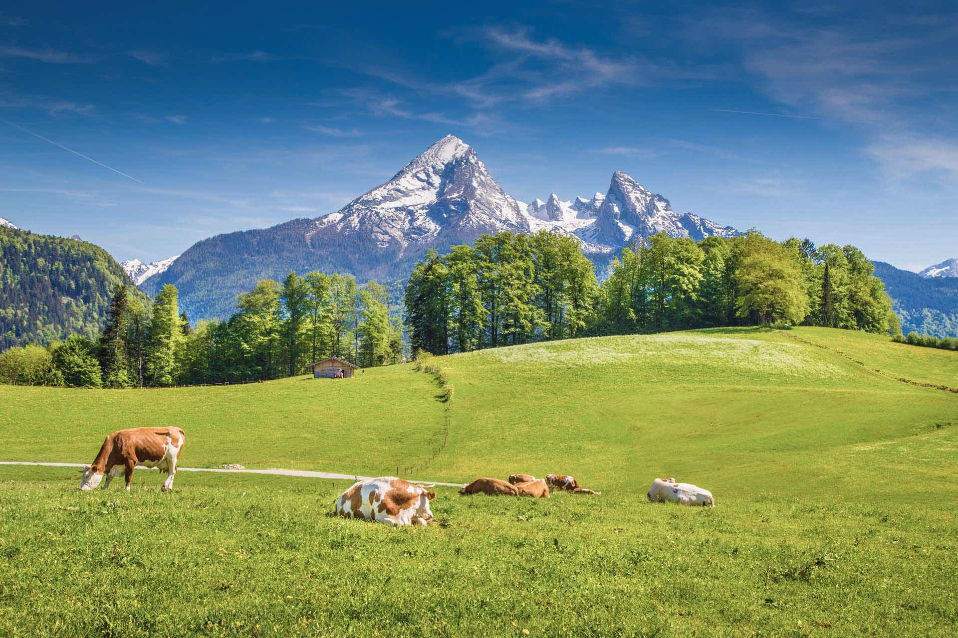 München und Oberbayern: Internistin bietet Praxisvertretung