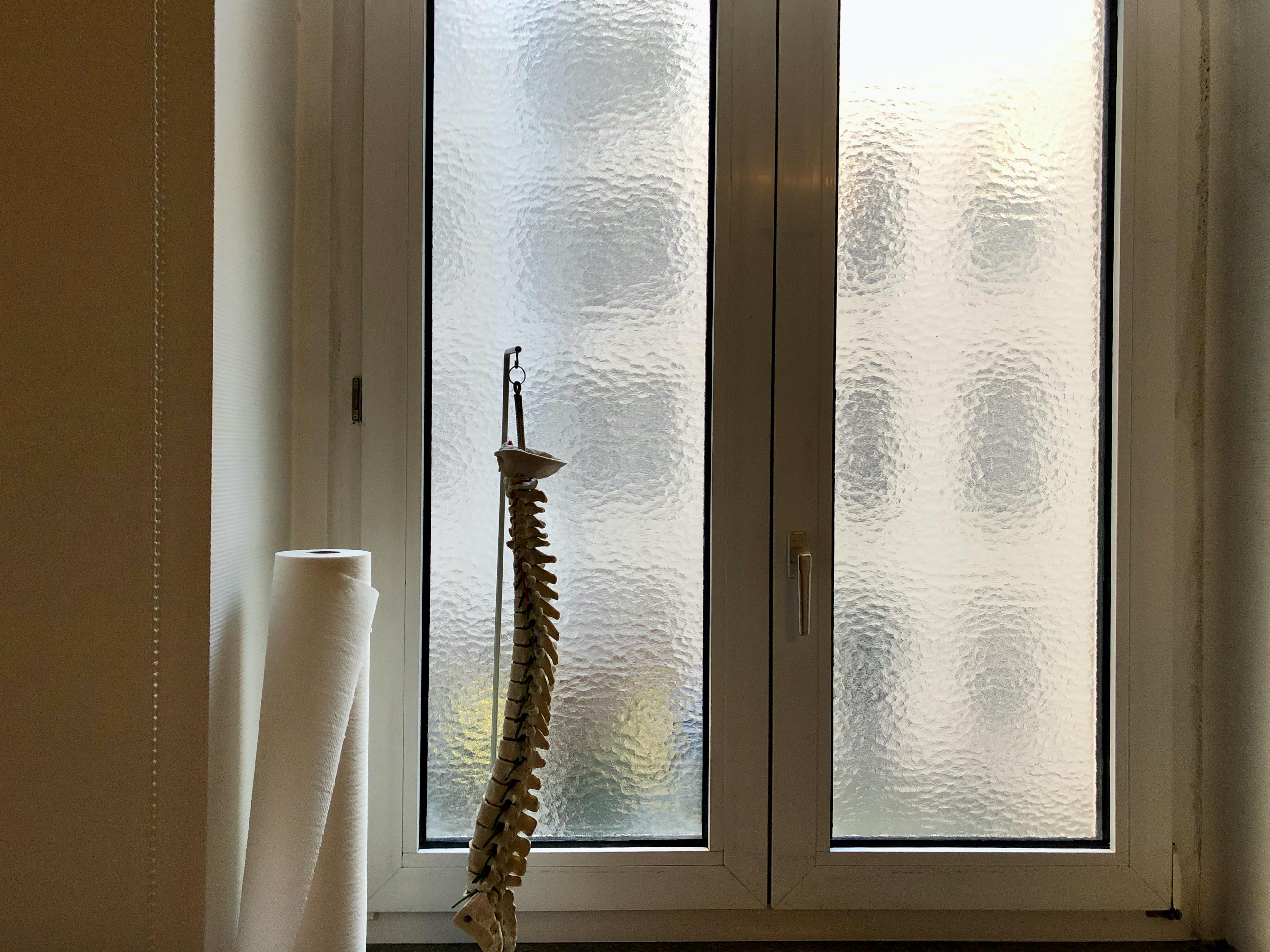 Suche Anstellung als Fachärztin für Orthopädie in Teilzeit in Leipzig