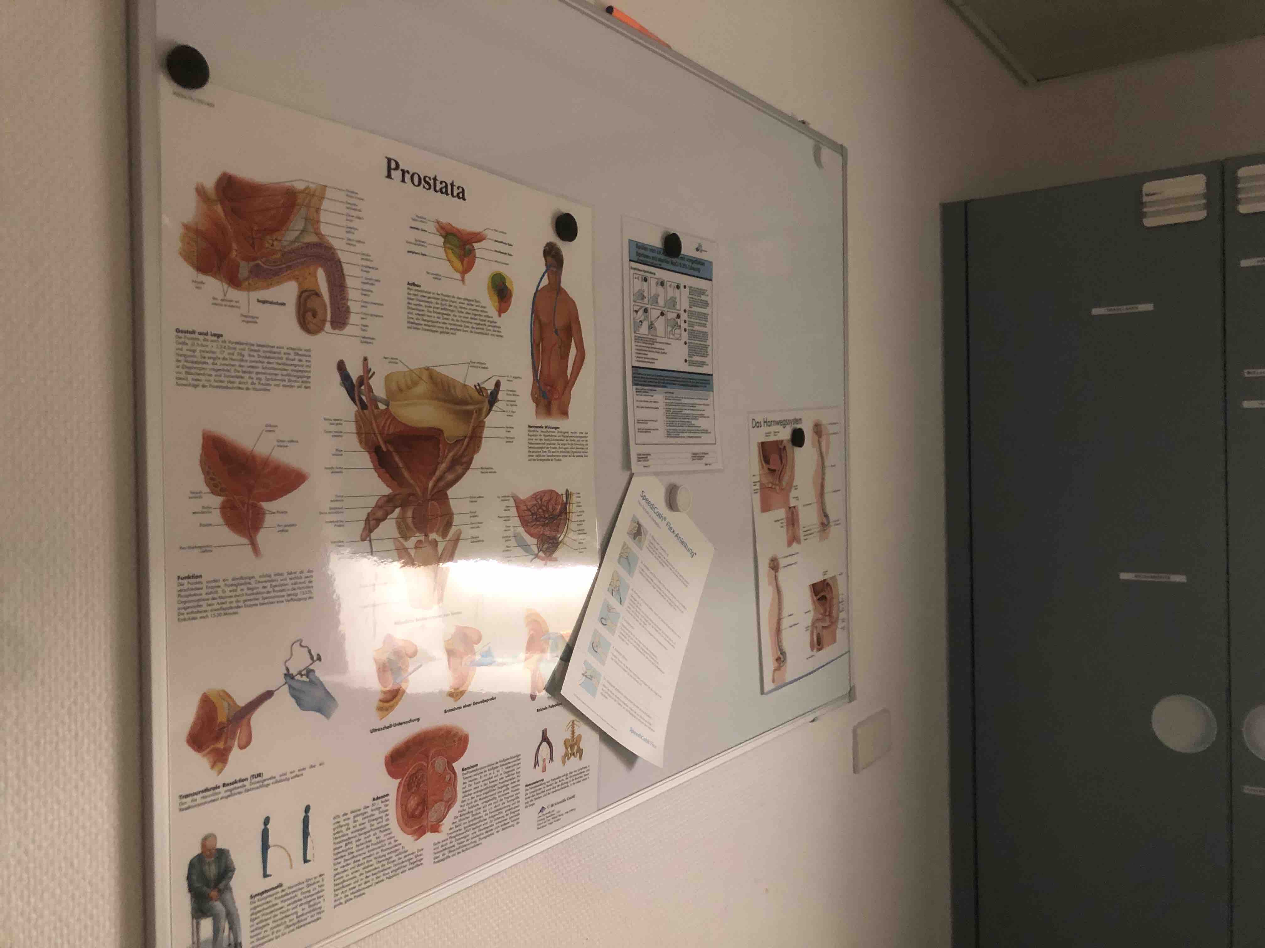 Suche für Ende 2020 urologische Praxis als Angestellter mit der Option um Praxisübernahme