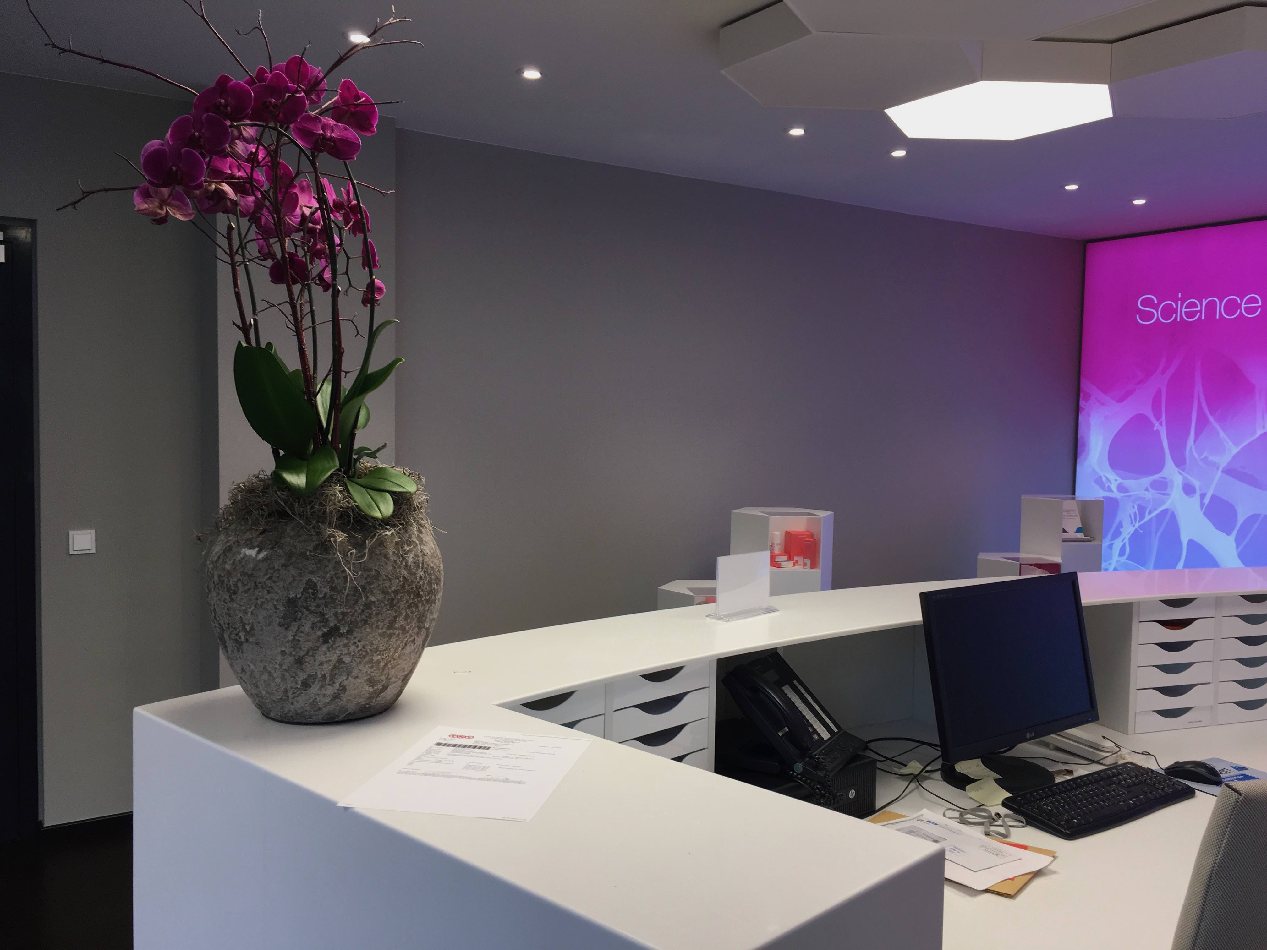 Suche universitäre Weiterbildungsstelle in Psychiatrie